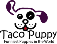 Taco Puppy Bot for Facebook Messenger