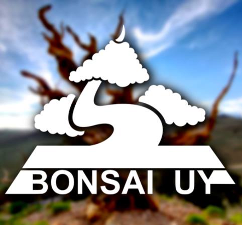 Bonsái Uruguay Bot for Facebook Messenger
