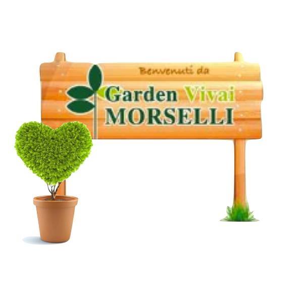 GardenVivai Morselli