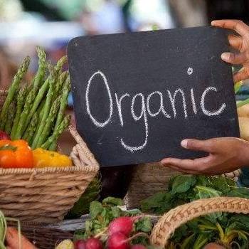BDM ORGANIC FARMS