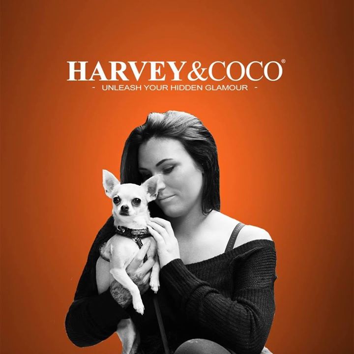 Harvey and Coco Bot for Facebook Messenger