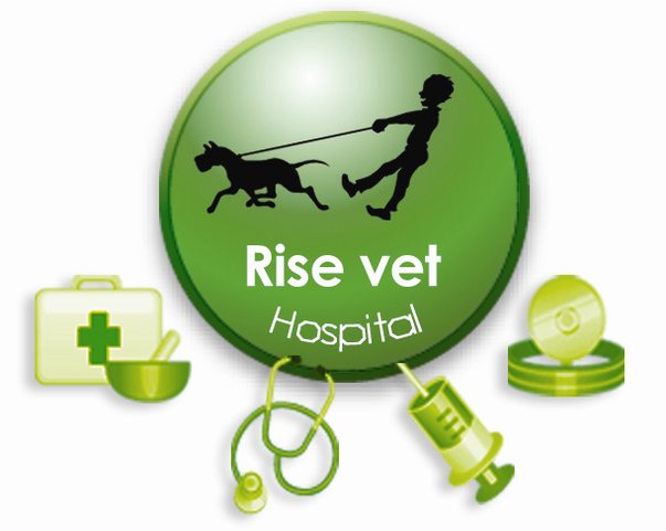 Rise Veterinary Hospital Bot for Facebook Messenger