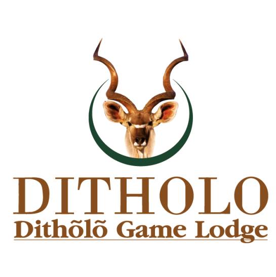 Ditholo Game Lodge Bot for Facebook Messenger