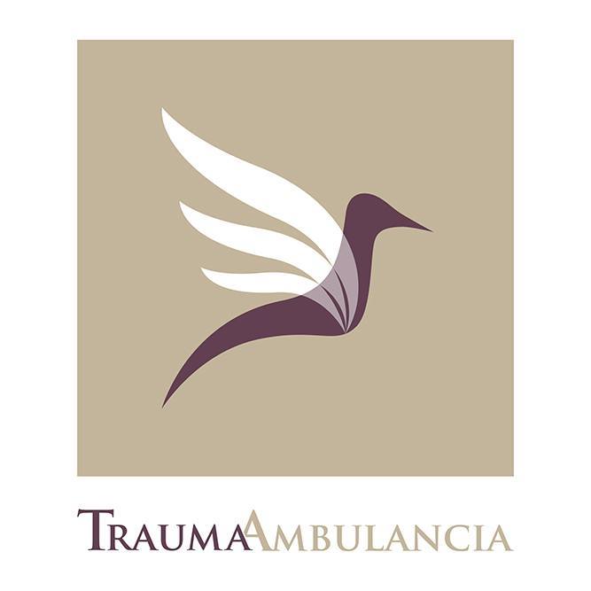 TraumaAmbulancia Bot for Facebook Messenger