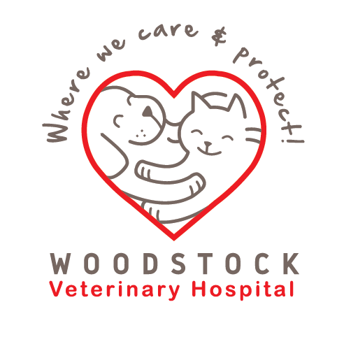 Woodstock Veterinary Hospital