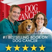 Dog Cancer Survival Guide Bot for Facebook Messenger