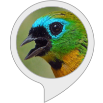 Bird Sounds Bot for Amazon Alexa