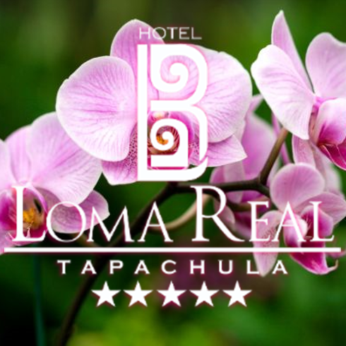Hotel Loma Real Bot for Facebook Messenger