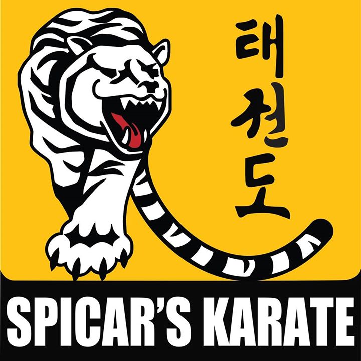 Spicar's Martial Arts Bot for Facebook Messenger