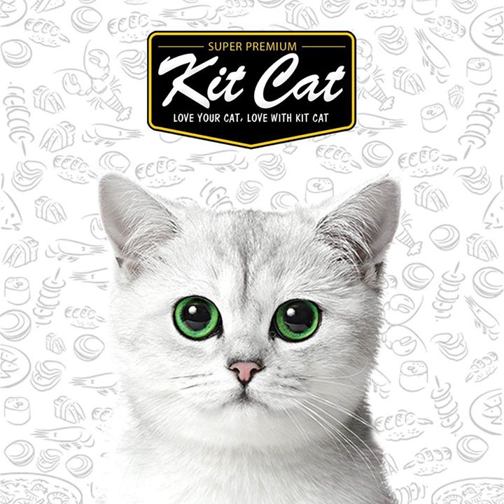 Kit Cat Philippines Bot for Facebook Messenger