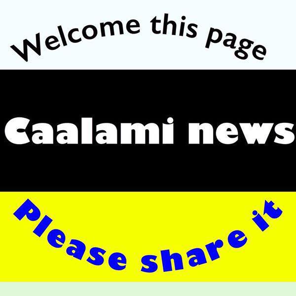 Caalami news Bot for Facebook Messenger