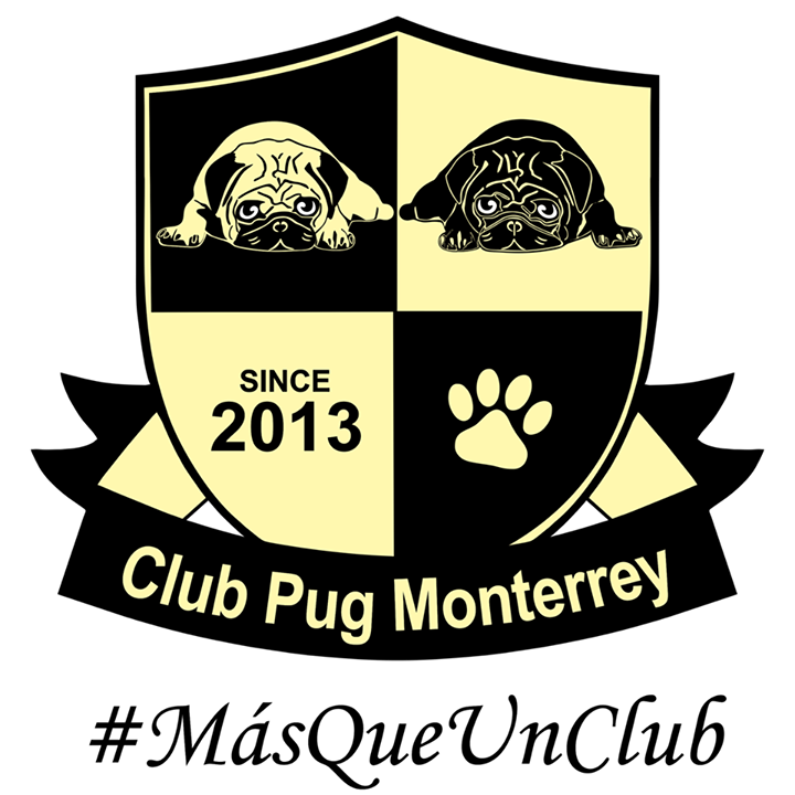 Club Pug Monterrey Bot for Facebook Messenger