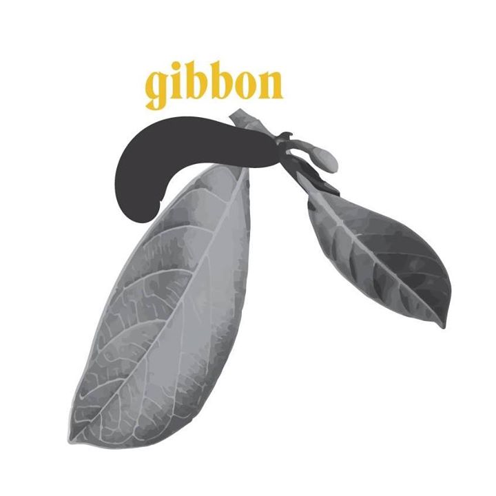 GIBBON Bot for Facebook Messenger