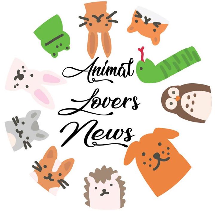 Animal Lovers News Bot for Facebook Messenger