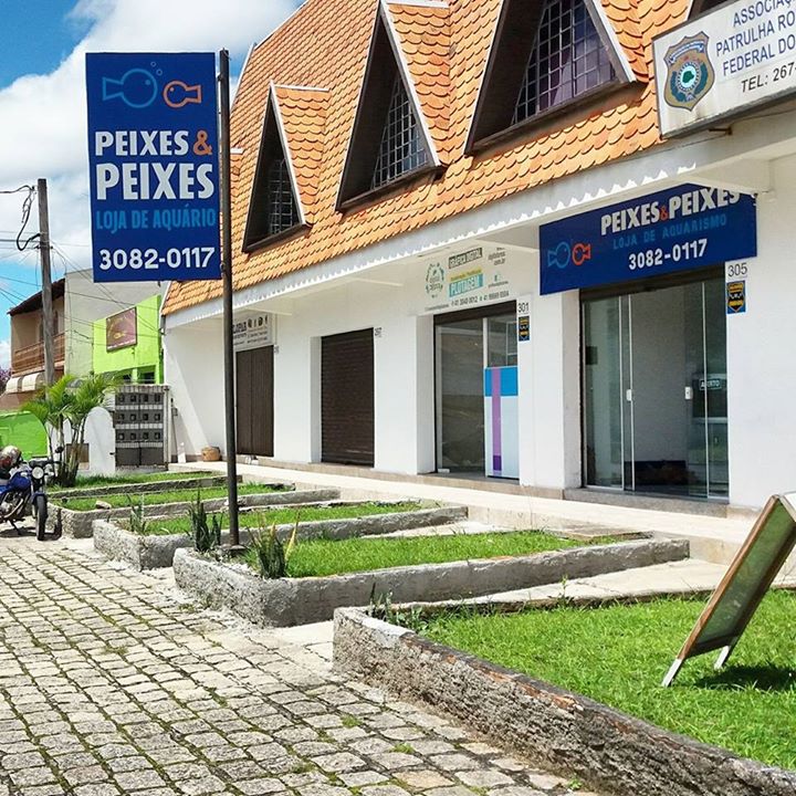 Peixes & Peixes