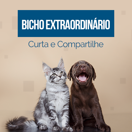 Bicho Extraordinário