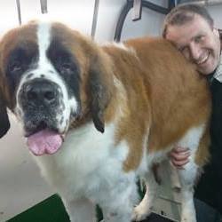 Franky's Dog Grooming Salon