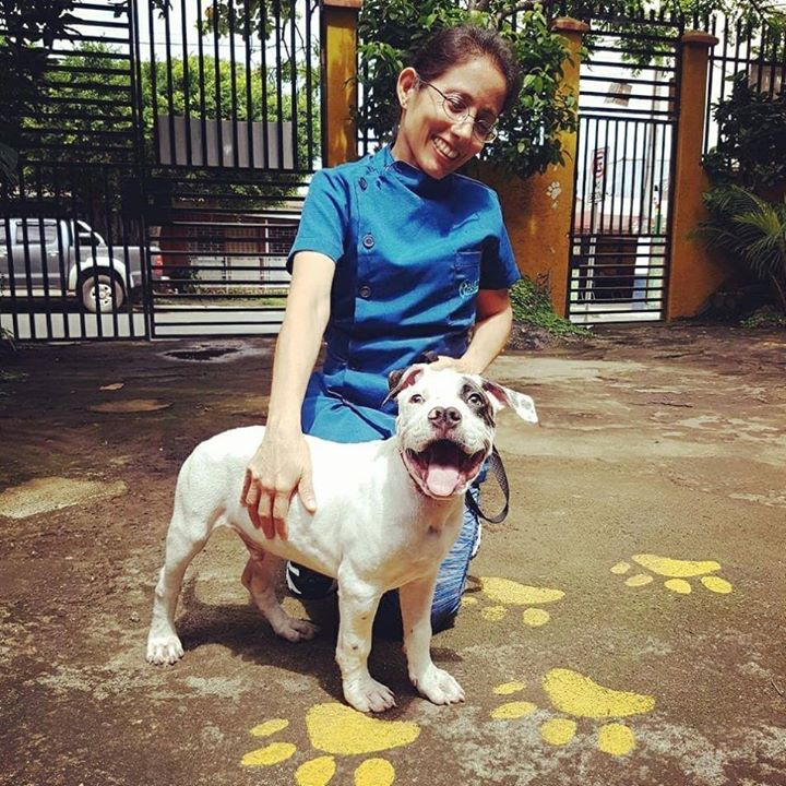 Amici Servicios Veterinarios