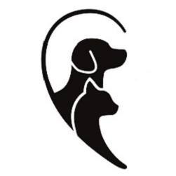 Di cane in gatto - Cat café