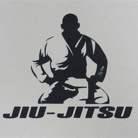 Brazilian Jiu Jitsu BJJ Tbilisi Bot for Facebook Messenger