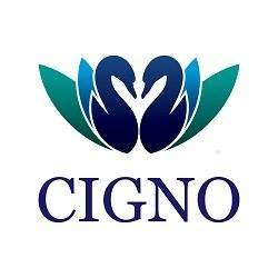 Cigno Loans Bot for Facebook Messenger