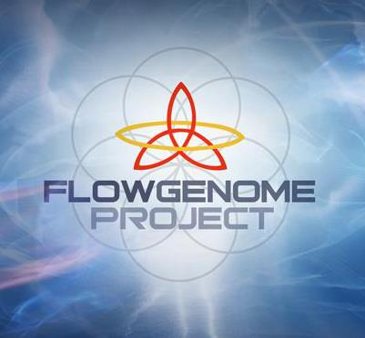 Flow Genome Project Bot for Facebook Messenger