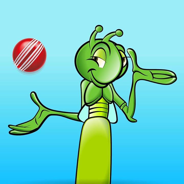 Cricket Bot for Facebook Messenger