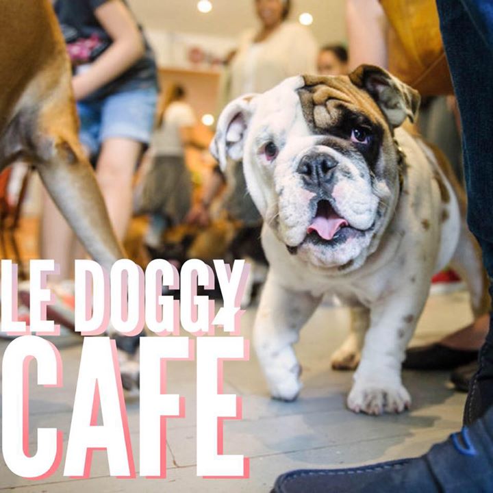 Le Doggy Café Bot for Facebook Messenger
