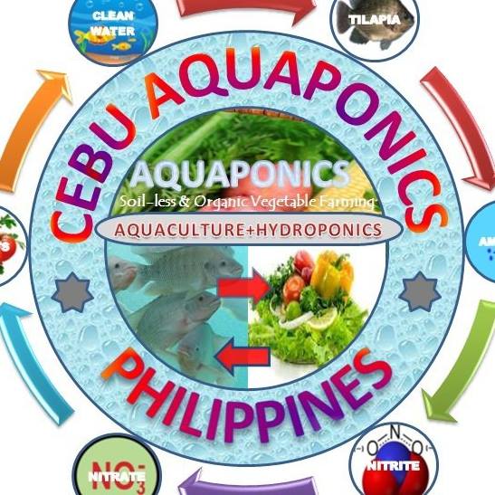 Cebu Aquaponics & Hydroponics Garden