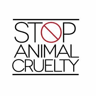Anti Animal Cruelty Org Ph Bot for Facebook Messenger