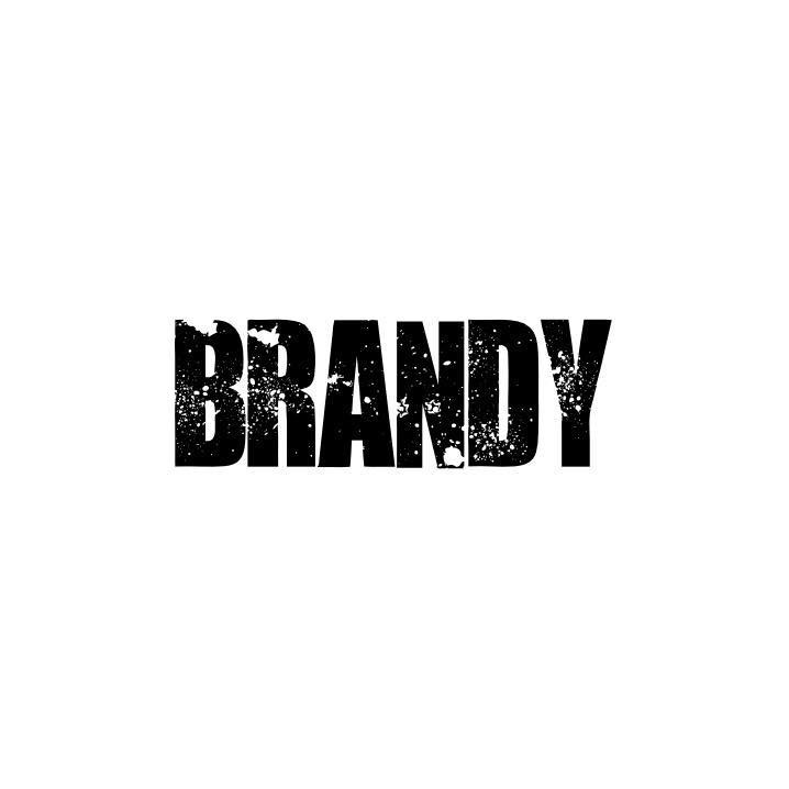 DJ Brandy Bot for Facebook Messenger