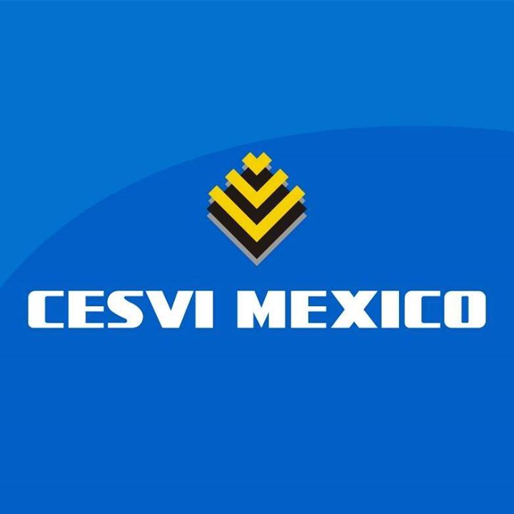 CESVI México Bot for Facebook Messenger
