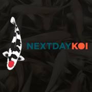 NextDayKoi Bot for Facebook Messenger
