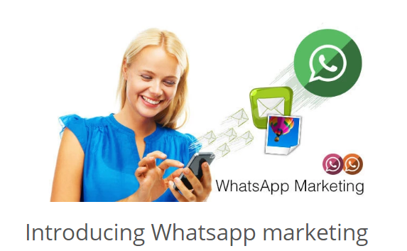 Whatsapp Marketing business Solution Bot for Facebook Messenger