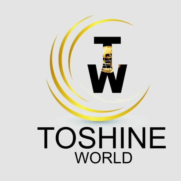 Toshineincorp
