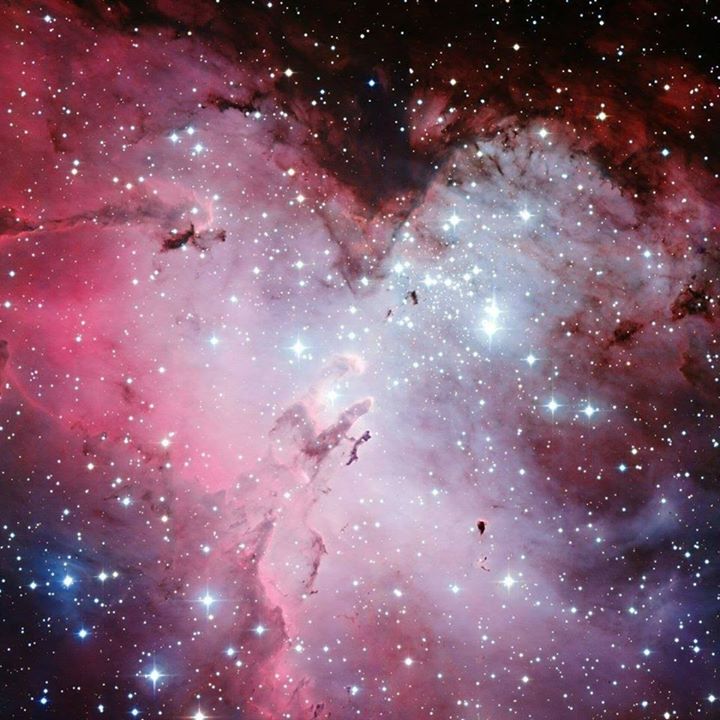Space Grace