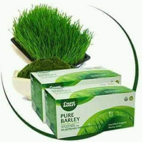 Sante Barley health and wealth