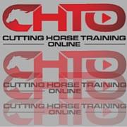Cutting Horse Training Online Bot for Facebook Messenger