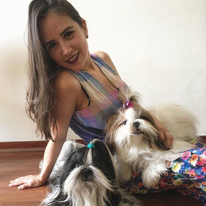Mundo Shih-tzu