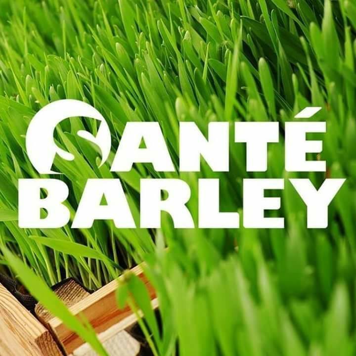 Sante - The Barley Grass Company Bot for Facebook Messenger