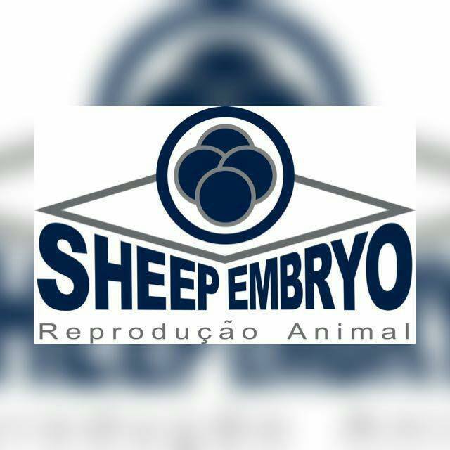 Sheep Embryo - Reprodução Animal Bot for Facebook Messenger