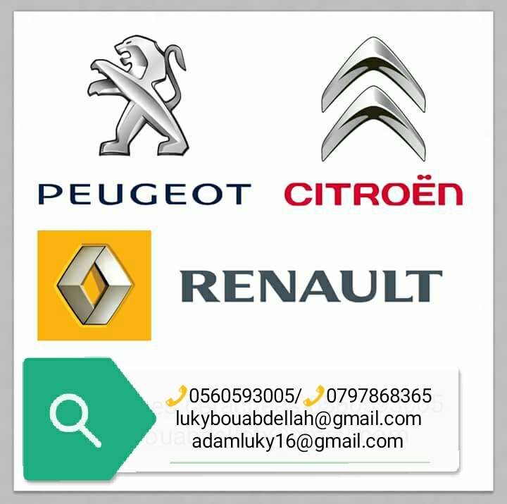 Pièces détachées Peugeot Renault Bot for Facebook Messenger