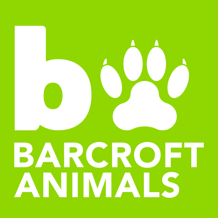 Barcroft Animals Bot for Facebook Messenger