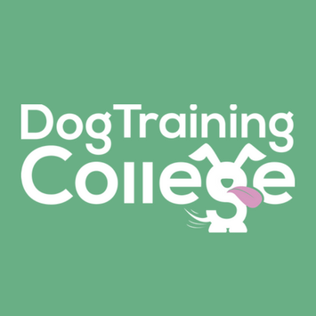 Dog Training College