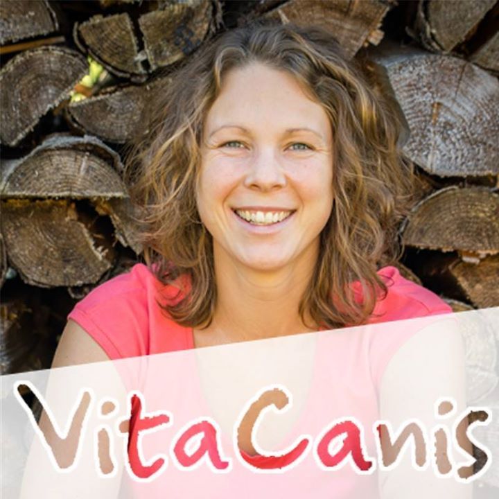 VitaCanis - Hundetraining mit Sabrina