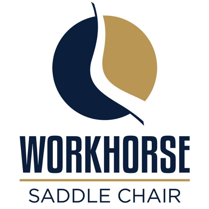 Workhorse Saddle Chair Bot for Facebook Messenger