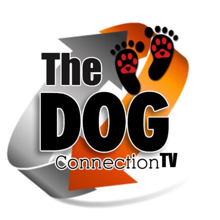 The Dog Connection TV Bot for Facebook Messenger