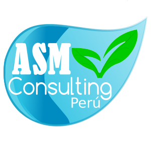 ASM Consulting PERU Bot for Facebook Messenger