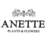 Anette Bot for Facebook Messenger