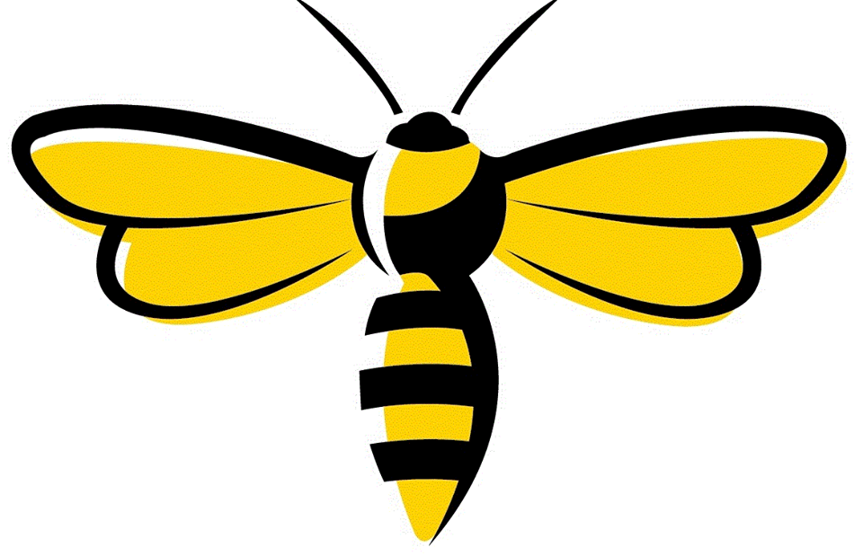 Bee More Social Bot for Facebook Messenger
